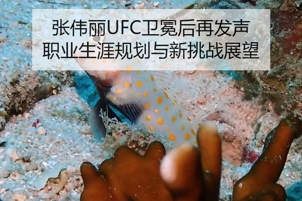 张伟丽UFC卫冕后再发声 职业生涯规划与新挑战展望