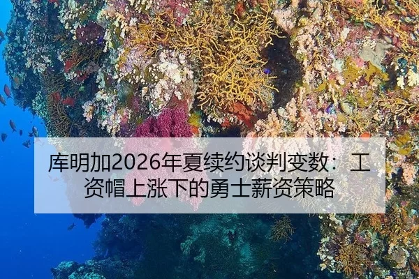 库明加2026年夏续约谈判变数：工资帽上涨下的勇士薪资策略